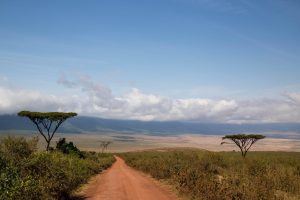 The majestic Ngorongoro national park
